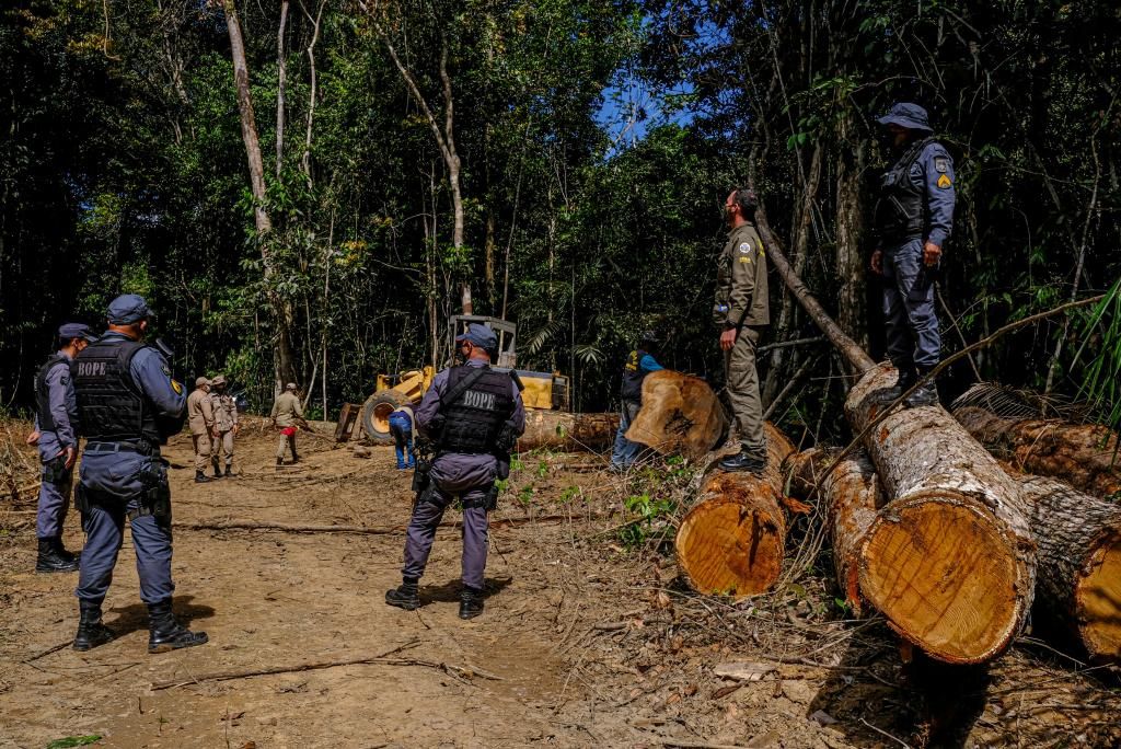 Mato Grosso aplicou R 620 milhões em multas por crimes ambientais