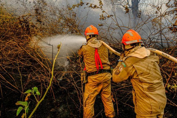 Bombeiros combatem incêndio