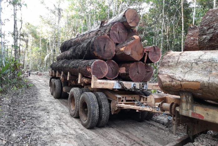 Sema apreende madeira ilegal