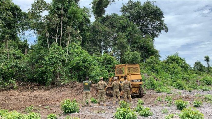 Operação Amazônia