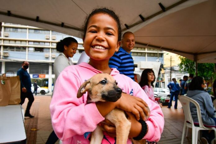 Feira de doação de animais